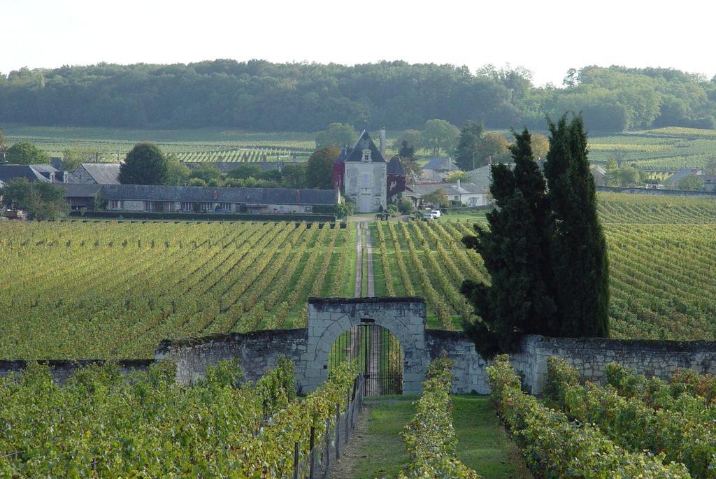 Gite Chateau De Chaintres Dampierre-sur-Loire Camera foto